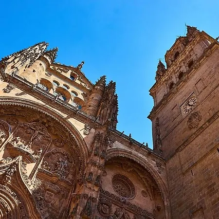 Virginia By Vivere 2*